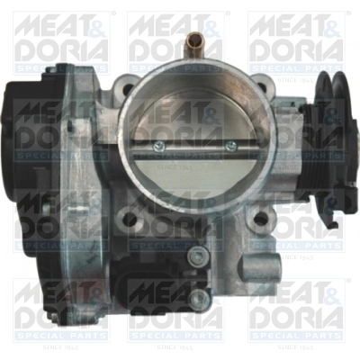 Throttle Body